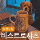 비스트로샤츠 이미지