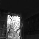 친구와 돌담길 이미지