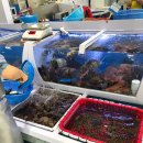 포항수협송도활어회센터 이미지