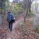 서원골 Daum카페