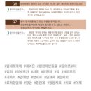 해피루트