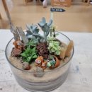 소망초등학교 병설유치원 이미지