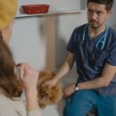 모양동물병원 이미지