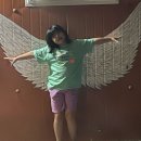 개구리민박 이미지