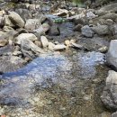 감악산 캠핑숲 | <캠핑기록6> 감악산캠핑숲 어른도좋고 아이도 좋은 원주 감악산 캠핑장