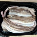 통영 바다장어 택배로 즐긴 퇴근 후 맥주 한 잔. 통영 명품장어 솔직 후기