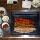 풍경장어 이미지