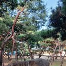 대신 | (경남김해) 김해점집 불사대신 태경보살 전화신점 후기