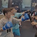 성남 복싱 체육관 이미지