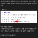 잼버리 예산 3천억 사용처(보배) 이미지