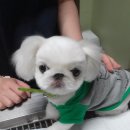 건국동물병원 이미지