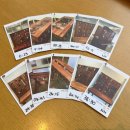 락원 | 잠실 방탈출 상상락원 잠실점 입졸 후기 리뉴얼 테마 첫 플레이