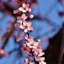 부동산894공인중개사사무소 이미지