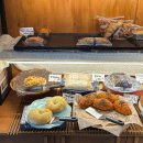 해피백약국 이미지