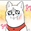 댕댕이와냥이 이미지