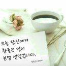 샤이니모터스