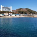 태이주유소 네이버블로그