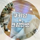 건강한펫 이미지