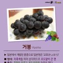 포도스토리