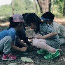 파랑숲어린이집 이미지