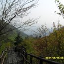 새마을교 이미지