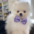다온전기조명 이미지