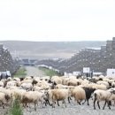 광원 태양광발전소 이미지