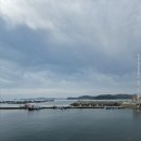 태안호스릴-58 | 태안 출조 후기 (25/09/02) <쭈>