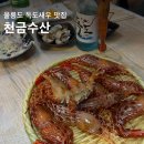 천금 | 울릉도 저동항 독도새우 맛집 천금수산 특대 솔직 후기