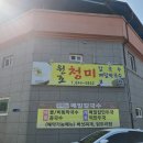 원조청미