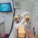 독사랑동물병원 이미지