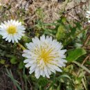 순천사랑 한옥펜션 이미지