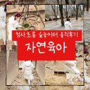 해맑개 | 의정부 청사초롱 숲체험 놀이터 위치,주차 정보