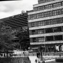 서울천사치과의원 이미지