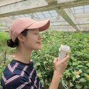 주식회사 산들환경 | 여름아이템 휴대용선풍기 니보리 에어미스트선풍기