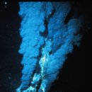 생명의 분출 이미지