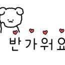 골목집향미보쌈 이미지