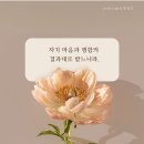옥토밭