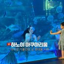 인어 | 하노이 서호 롯데몰 아쿠아리움 아이랑 다녀온 후기 (인어공주 공연 추천)