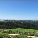 삼양목장 이미지