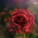 참좋은이웃 노인요양공동생활가정 이미지
