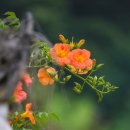 영원을위하여 이미지