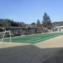 김진택농장 Daum카페