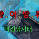 오늘은향어 이미지