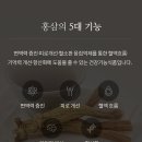 정관장홍삼대명점