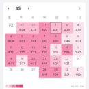 풀이파리 | 비전공자 국가직 9급 세무직 92점 필기 공부법(초시 11개월 합격)