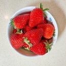 아름다운농장 | 🍓대구 근교 봄철 딸기 : 군위 내리 딸기 농장 직거래 후기 🍓