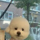 미용해·독 네이버블로그