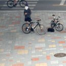 호성자전거 이미지