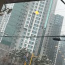 참설농탕 | 서초 24시 참설농탕 후기